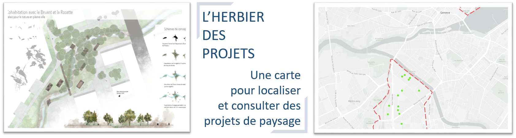 visuel herbier des projets