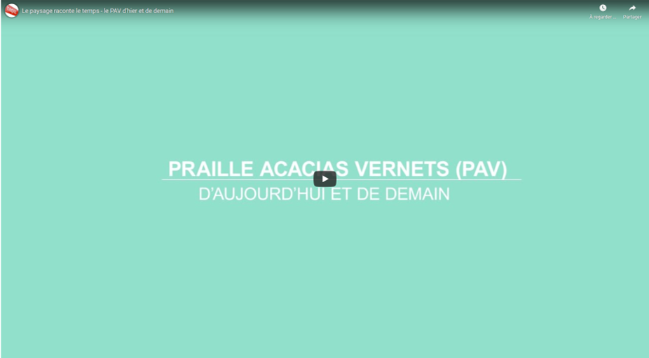 lien vers video PAV demain