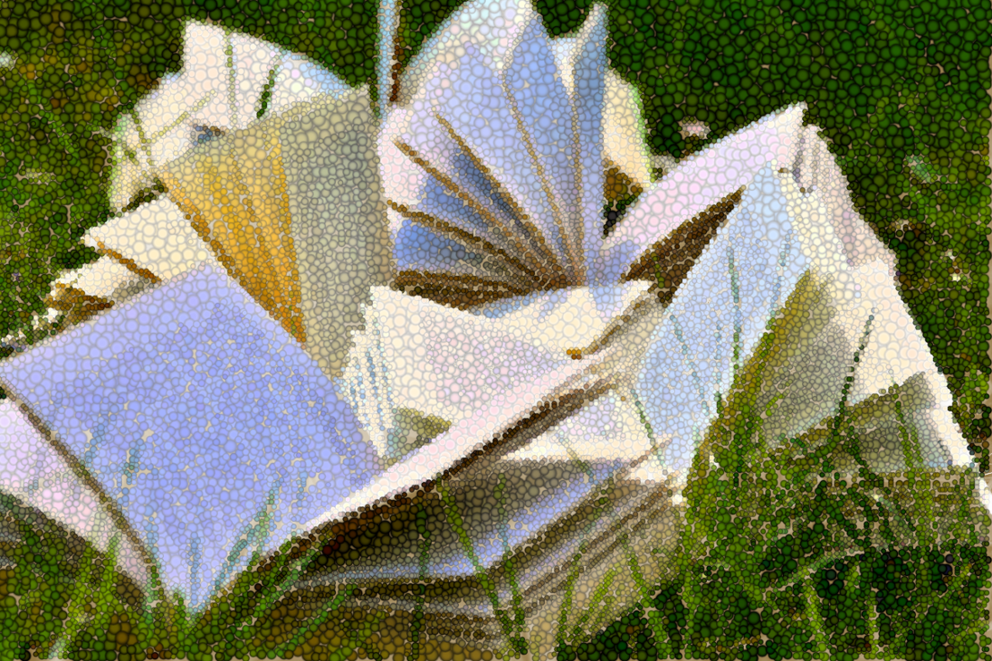 livres dans l herbe